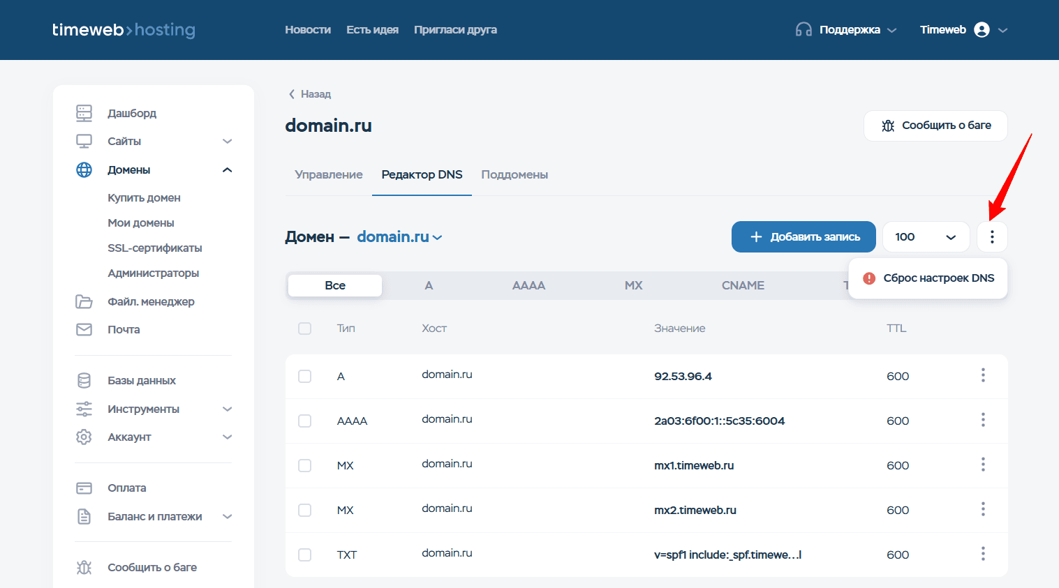 Меню трёх точек в редакторе DNS Timeweb с единственным пунктом «Сброс настроек DNS»